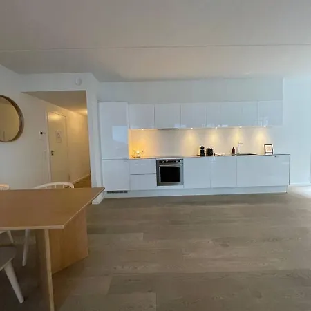Penthouse In Nordhavn * 哥本哈根