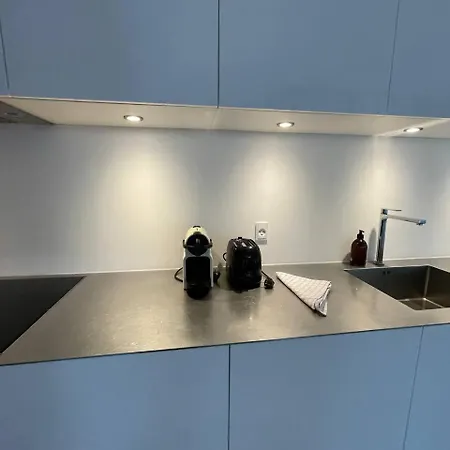 Penthouse In Nordhavn * 哥本哈根