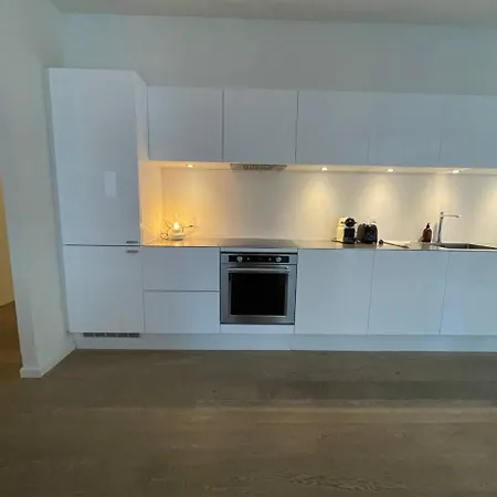 公寓 Penthouse In Nordhavn *